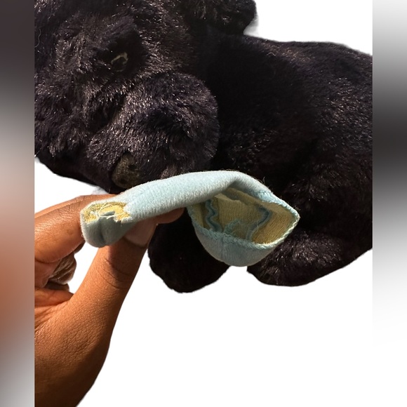 Navy Blue Dog 🐶 With Bitten Sky Blue Sock - Picture 4 of 6